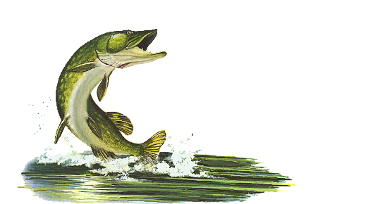 Pike Lumber
